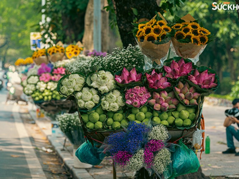 hà nội mùa thu